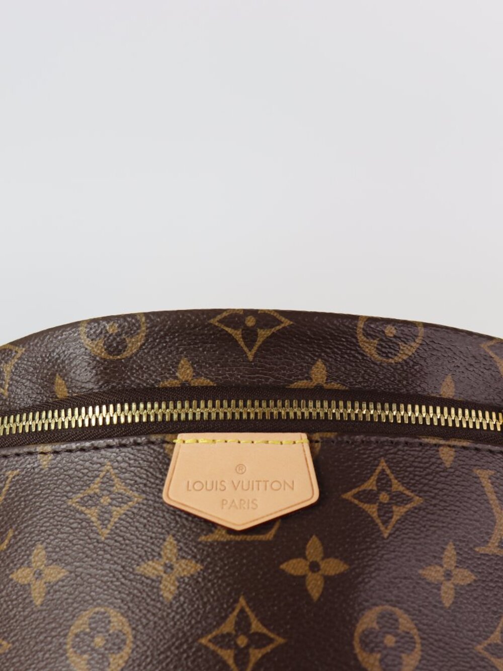 Louis Vuitton Monogram Bumbag - Picture 5 of 16